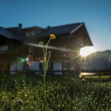 Alpenhaus Steiner - Top-ferienwohnungen - Sommer-bergbahn Inklusive Apartment *