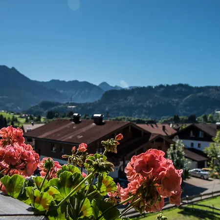 Apartment Alpenhaus Steiner - Top-ferienwohnungen - Sommer-bergbahn Inklusive *