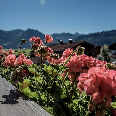 Alpenhaus Steiner - Top-ferienwohnungen - Sommer-bergbahn Inklusive Apartment
