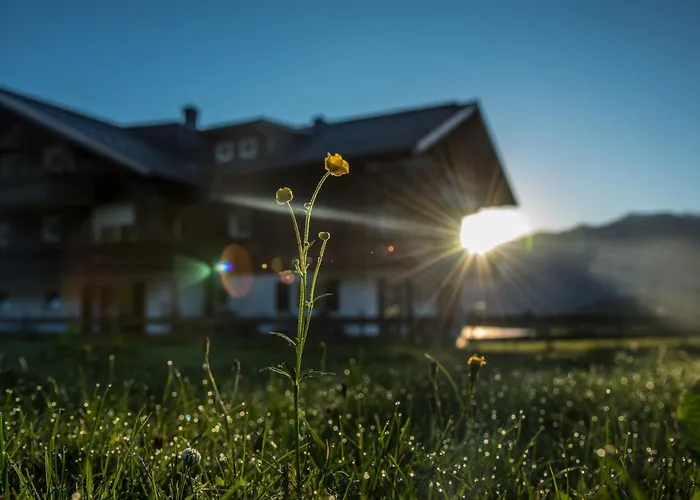 Alpenhaus Steiner - Top-ferienwohnungen - Sommer-bergbahn Inklusive Apartment *