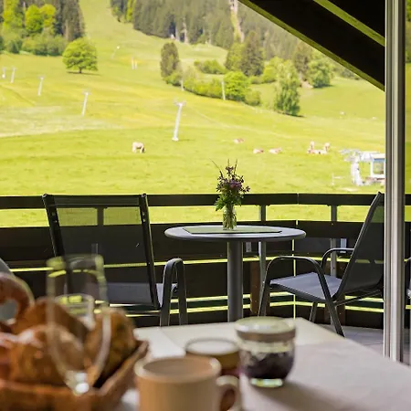 Apartment Alpenhaus Steiner - Top-ferienwohnungen - Sommer-bergbahn Inklusive *