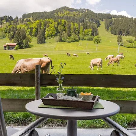 Alpenhaus Steiner - Top-ferienwohnungen - Sommer-bergbahn Inklusive * Bolsterlang