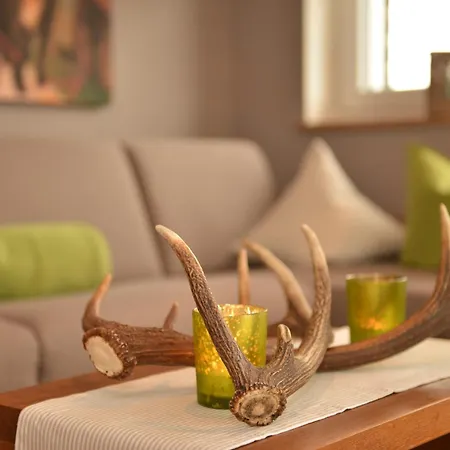 Alpenhaus Steiner - Top-ferienwohnungen - Sommer-bergbahn Inklusive Apartment