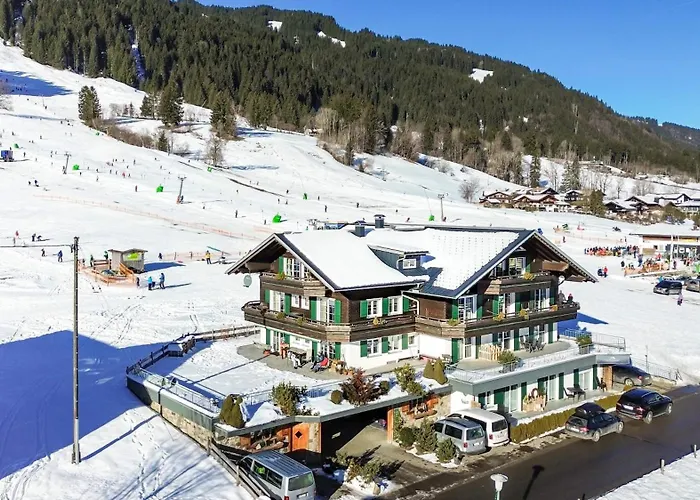 Alpenhaus Steiner - Top-ferienwohnungen - Sommer-bergbahn Inklusive Bolsterlang