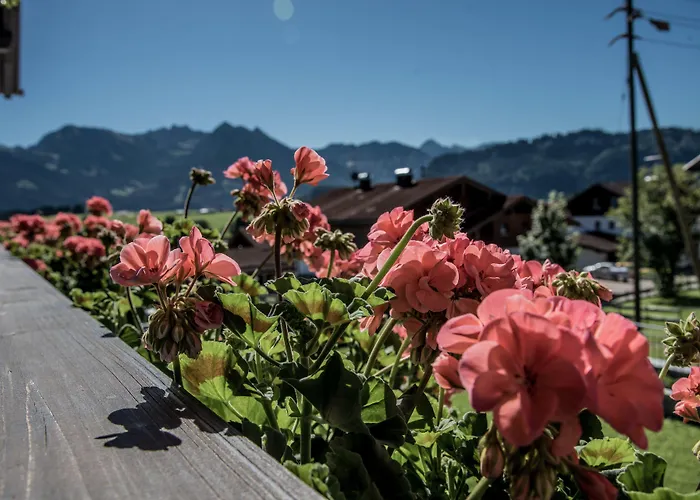 Appartement Alpenhaus Steiner - Top-ferienwohnungen - Sommer-bergbahn Inklusive